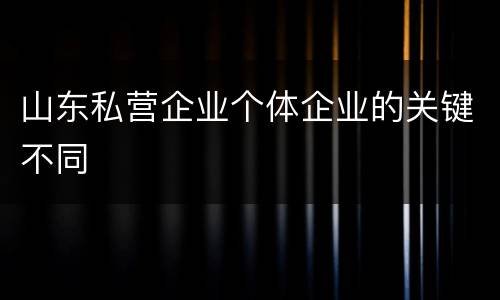 山东私营企业个体企业的关键不同