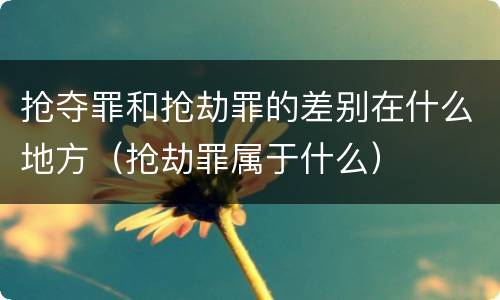 抢夺罪和抢劫罪的差别在什么地方（抢劫罪属于什么）