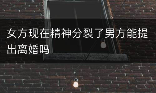 女方现在精神分裂了男方能提出离婚吗