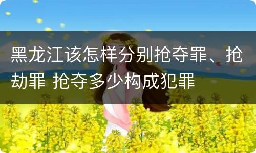 黑龙江该怎样分别抢夺罪、抢劫罪 抢夺多少构成犯罪