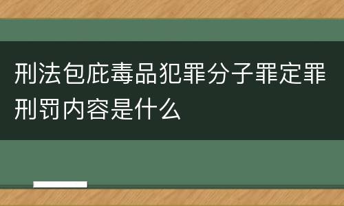 刑法包庇毒品犯罪分子罪定罪刑罚内容是什么