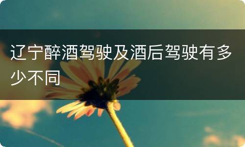 辽宁醉酒驾驶及酒后驾驶有多少不同