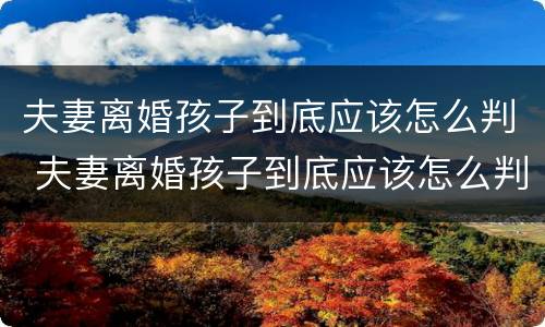 夫妻离婚孩子到底应该怎么判 夫妻离婚孩子到底应该怎么判决