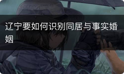 辽宁要如何识别同居与事实婚姻
