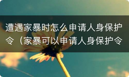 遭遇家暴时怎么申请人身保护令（家暴可以申请人身保护令吗）
