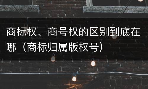 商标权、商号权的区别到底在哪（商标归属版权号）