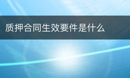 质押合同生效要件是什么