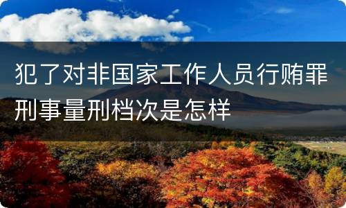 犯了对非国家工作人员行贿罪刑事量刑档次是怎样