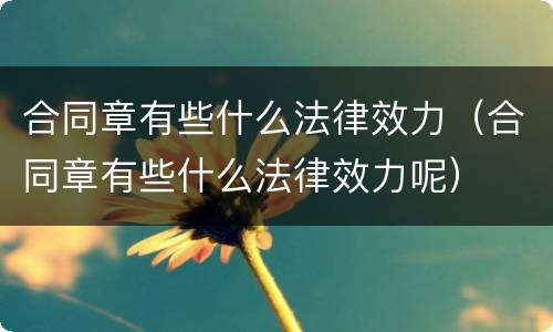 合同章有些什么法律效力（合同章有些什么法律效力呢）
