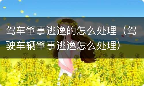 驾车肇事逃逸的怎么处理（驾驶车辆肇事逃逸怎么处理）