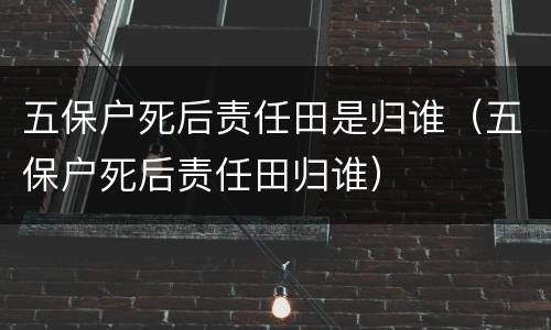 五保户死后责任田是归谁（五保户死后责任田归谁）