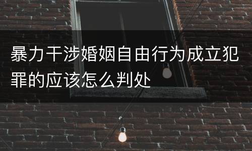 暴力干涉婚姻自由行为成立犯罪的应该怎么判处