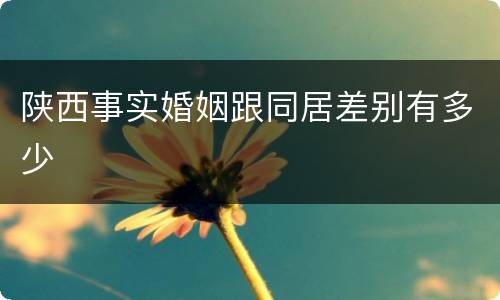 陕西事实婚姻跟同居差别有多少