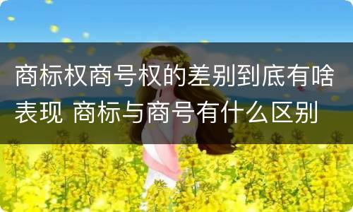 商标权商号权的差别到底有啥表现 商标与商号有什么区别