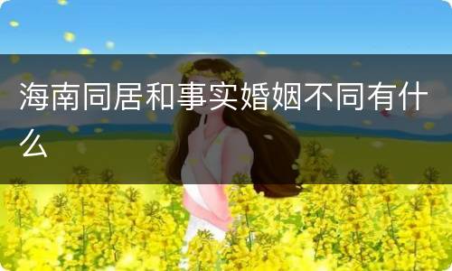 海南同居和事实婚姻不同有什么