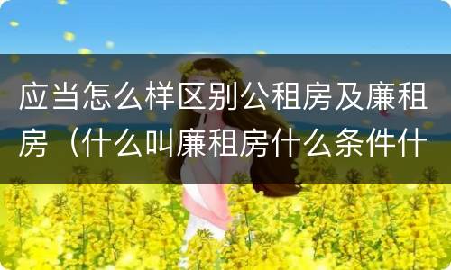 应当怎么样区别公租房及廉租房（什么叫廉租房什么条件什么叫公租房）