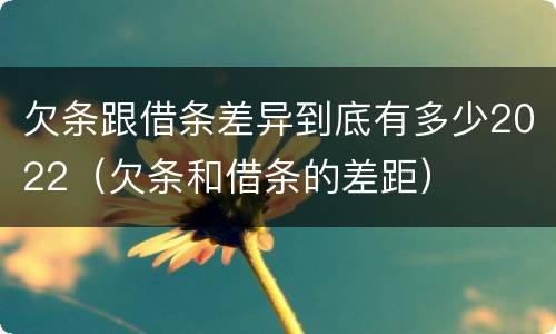 欠条跟借条差异到底有多少2022（欠条和借条的差距）