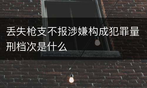 丢失枪支不报涉嫌构成犯罪量刑档次是什么