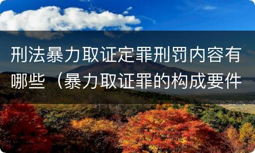 刑法暴力取证定罪刑罚内容有哪些（暴力取证罪的构成要件）