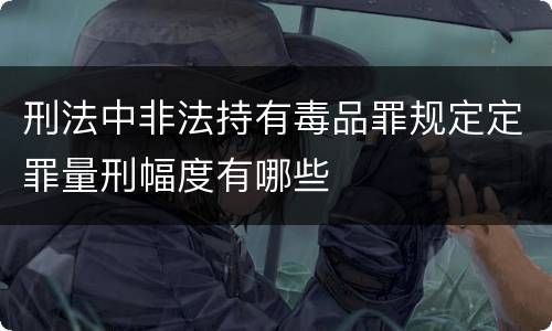刑法中非法持有毒品罪规定定罪量刑幅度有哪些