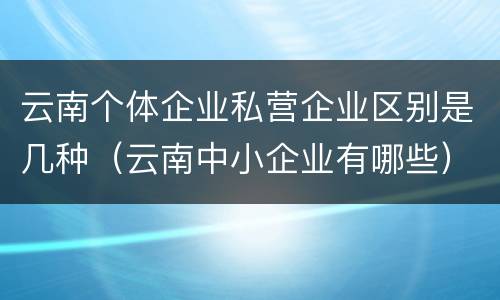 云南个体企业私营企业区别是几种（云南中小企业有哪些）
