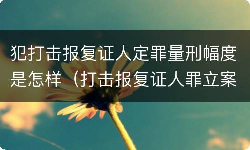 犯打击报复证人定罪量刑幅度是怎样（打击报复证人罪立案标准）