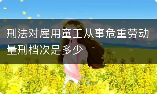 刑法对雇用童工从事危重劳动量刑档次是多少