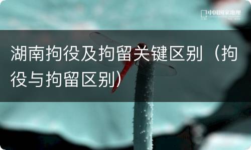 湖南拘役及拘留关键区别（拘役与拘留区别）