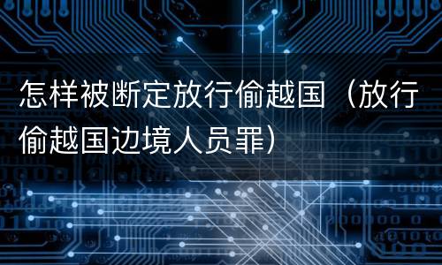 怎样被断定放行偷越国（放行偷越国边境人员罪）