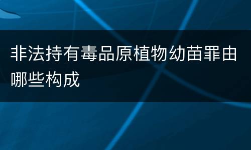 非法持有毒品原植物幼苗罪由哪些构成