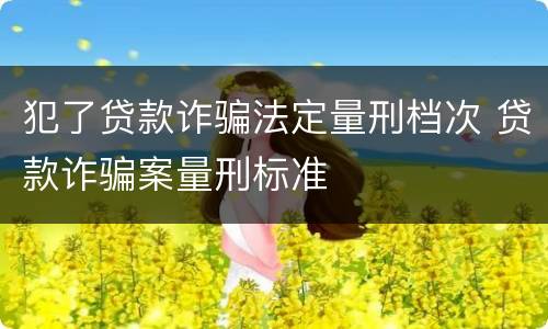 犯了贷款诈骗法定量刑档次 贷款诈骗案量刑标准