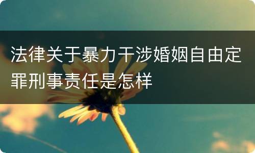 法律关于暴力干涉婚姻自由定罪刑事责任是怎样