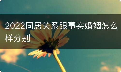 2022同居关系跟事实婚姻怎么样分别