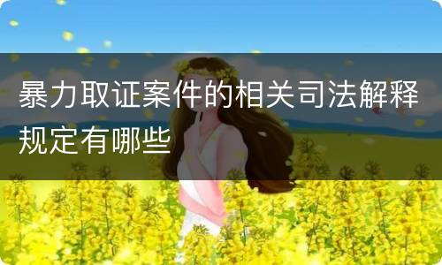 暴力取证案件的相关司法解释规定有哪些