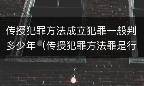 传授犯罪方法成立犯罪一般判多少年（传授犯罪方法罪是行为犯吗）