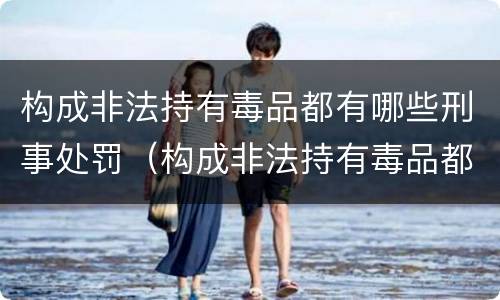 构成非法持有毒品都有哪些刑事处罚（构成非法持有毒品都有哪些刑事处罚案件）