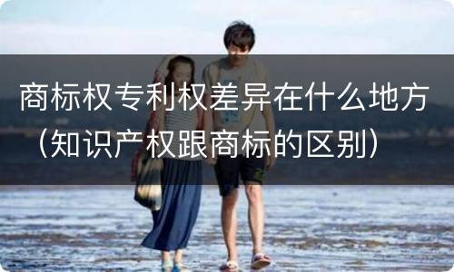 商标权专利权差异在什么地方（知识产权跟商标的区别）