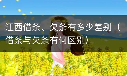 江西借条、欠条有多少差别（借条与欠条有何区别）