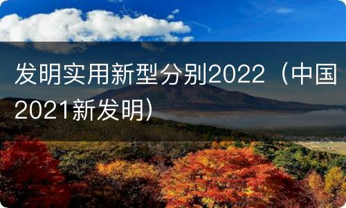 发明实用新型分别2022（中国2021新发明）