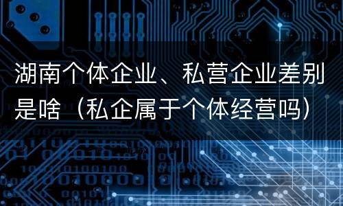 湖南个体企业、私营企业差别是啥（私企属于个体经营吗）