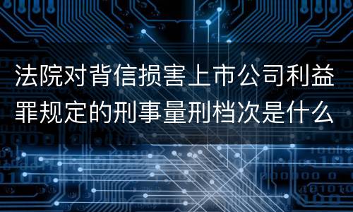法院对背信损害上市公司利益罪规定的刑事量刑档次是什么样的