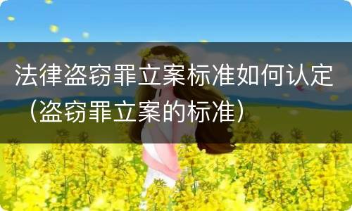 法律盗窃罪立案标准如何认定（盗窃罪立案的标准）
