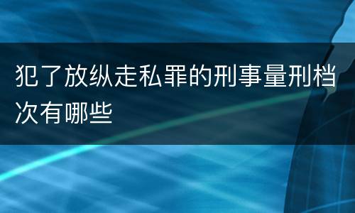 犯了放纵走私罪的刑事量刑档次有哪些