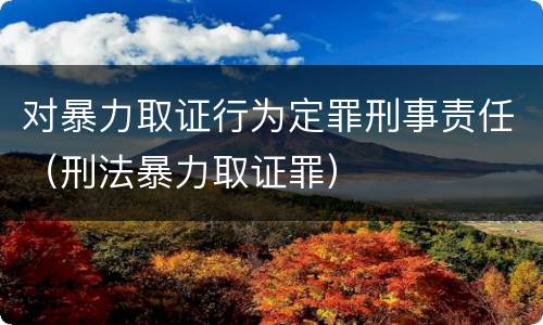 对暴力取证行为定罪刑事责任（刑法暴力取证罪）