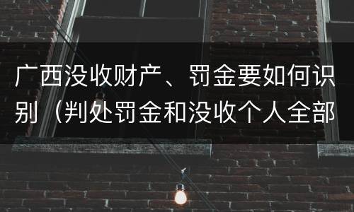 广西没收财产、罚金要如何识别（判处罚金和没收个人全部财产如何执行）