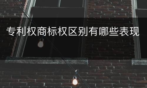 专利权商标权区别有哪些表现