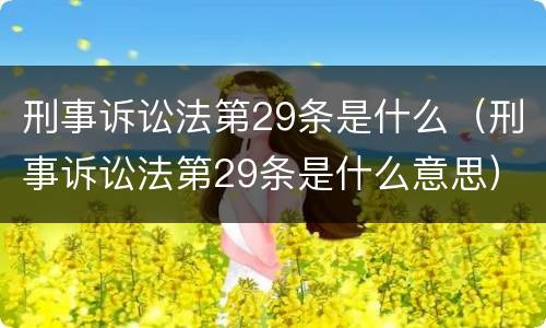 刑事诉讼法第29条是什么（刑事诉讼法第29条是什么意思）