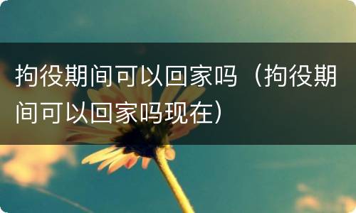 拘役期间可以回家吗（拘役期间可以回家吗现在）