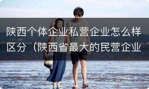 陕西个体企业私营企业怎么样区分（陕西省最大的民营企业是什么公司）