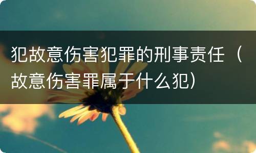 犯故意伤害犯罪的刑事责任（故意伤害罪属于什么犯）